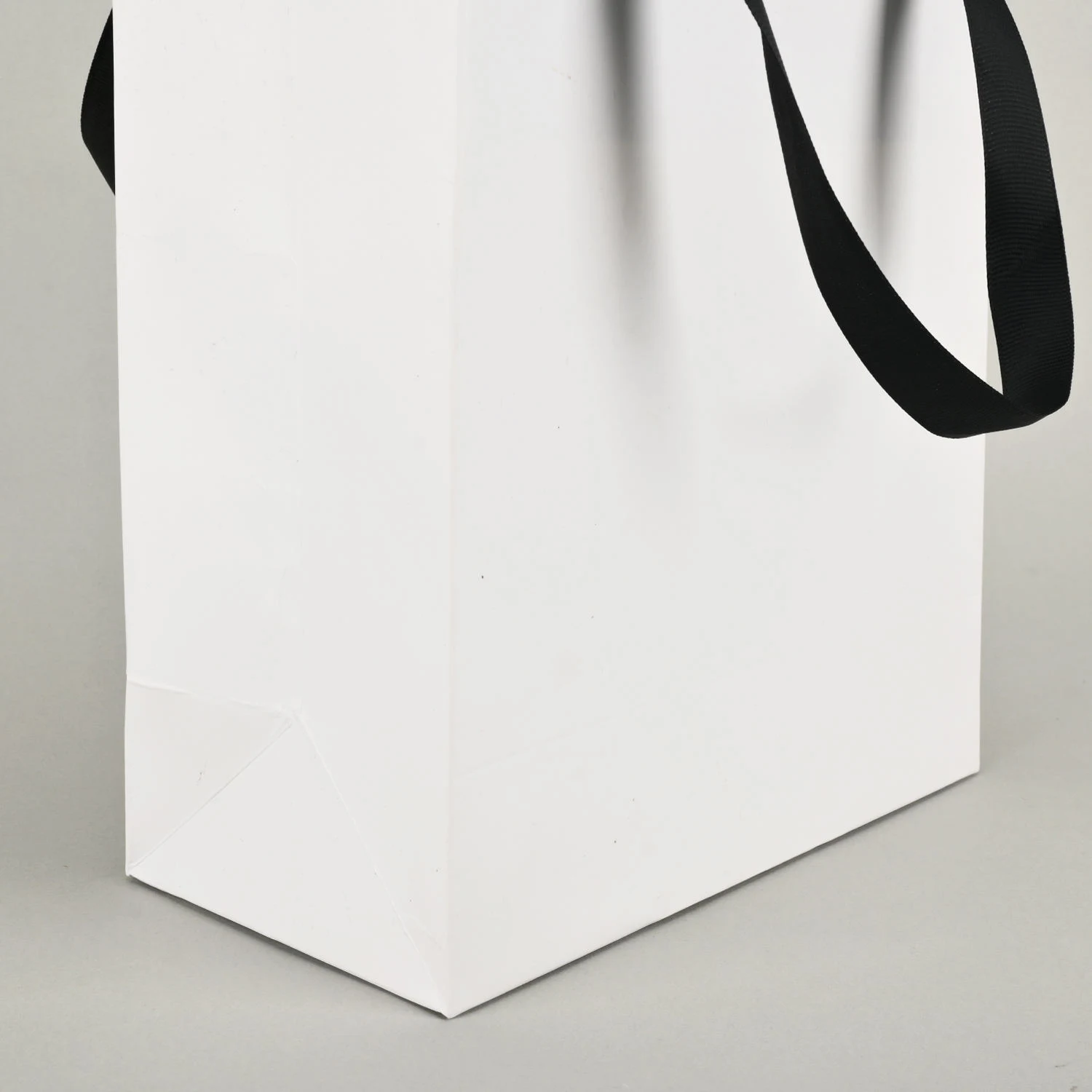 Reusable Shopping Paper Bag